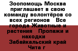 Зоопомощь.Москва приглашает в свою команду волонтёров со всех регионов - Все города Животные и растения » Пропажи и находки   . Забайкальский край,Чита г.